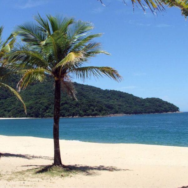 Praia de Boiçucanga